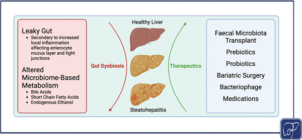 4-Role of the Gut Microbiome.jpg