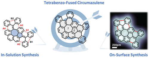 4-Towards the Tetrabenzo-Fused.jpg