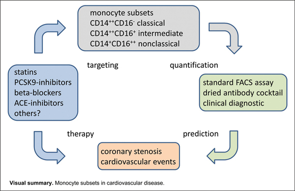 Monocyte Subsets.jpg