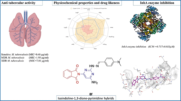 1-Synthesis.gif