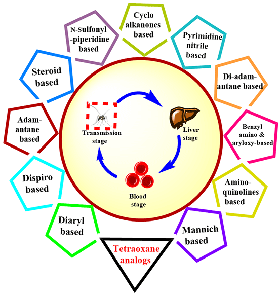 4-Endoperoxides a.gif