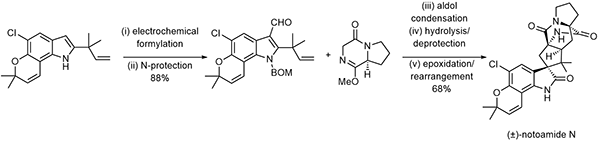 5-Total Synthesis.gif