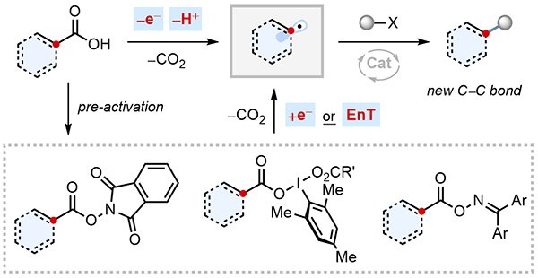 13-Decarboxylative, Radical.gif