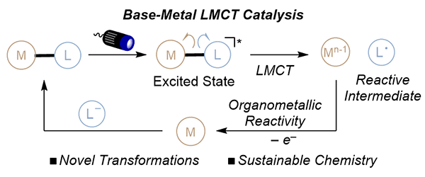 18-Photoinduced Ligand-to-Metal.gif