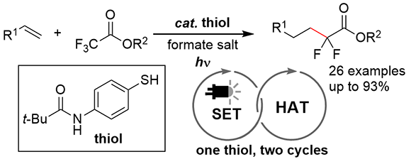 20-Photocatalytic Defluoroalkylation.gif