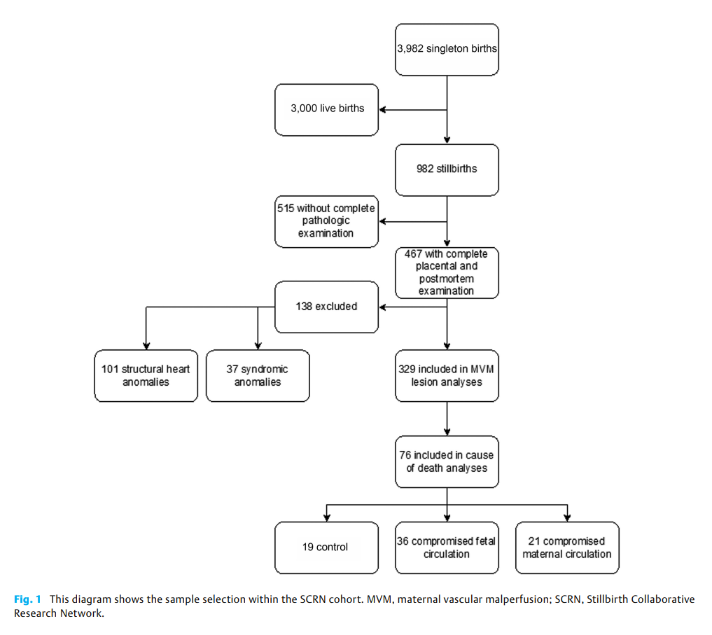 Vascular Placental Pathology2.png