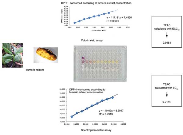 A New Colorimetric DPPH.jpg