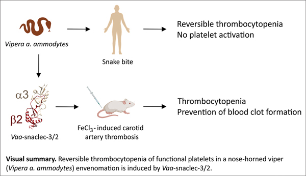 8-Reversible Thrombocytopenia.jpg