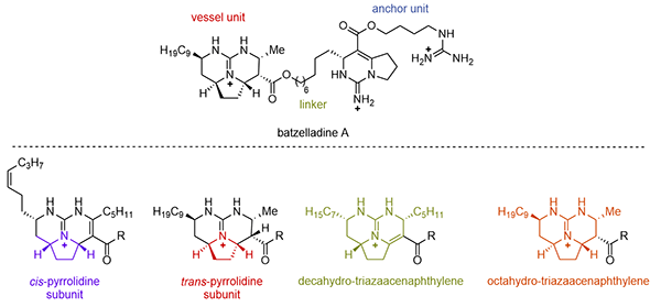 Synthesis-Synthetic Approaches toward.gif