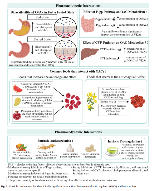 Pharmacokinetic and Pharmacodynamic 2.png