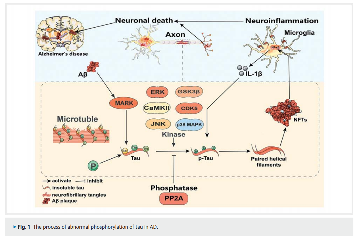 Natural Products Targeting T2.png