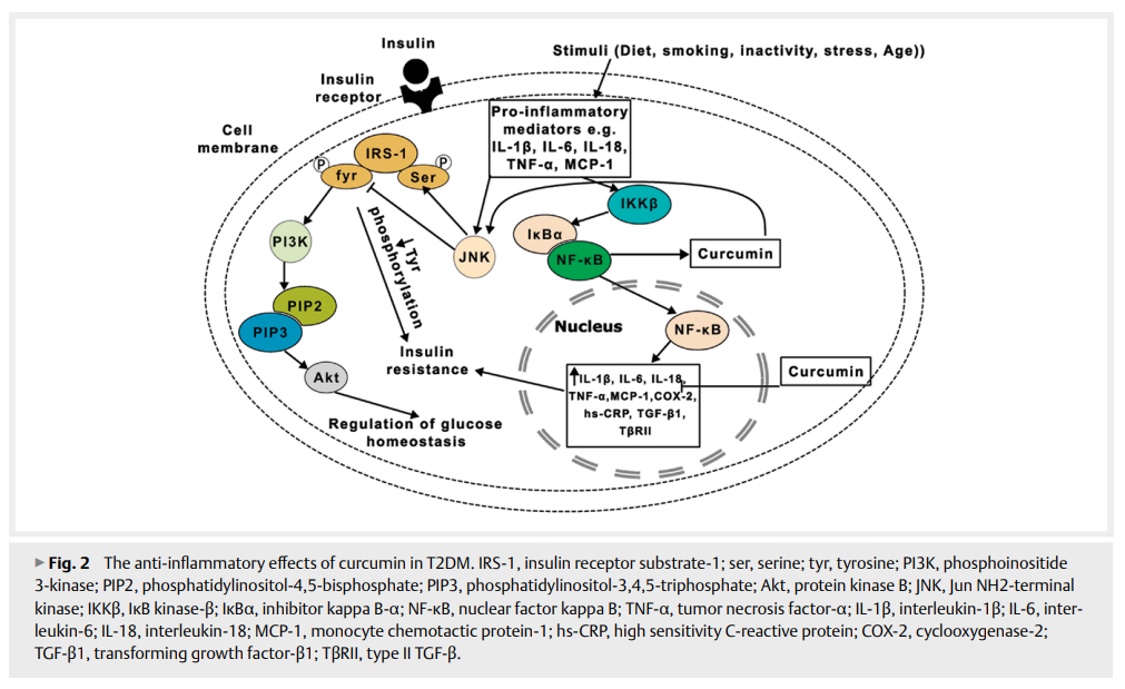 1-Curcumin in Type 2 2.png