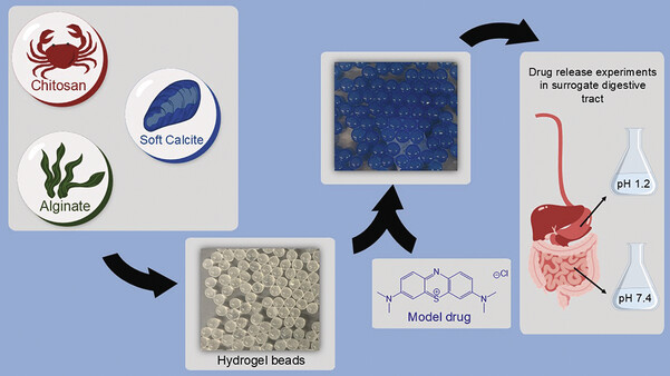 68f6dd4083882.jpg 1-Entirely Biomass-Derived.jpg