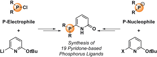 6909696a09ea8.jpg Synthesis_Synthesis of Symmetric.jpg