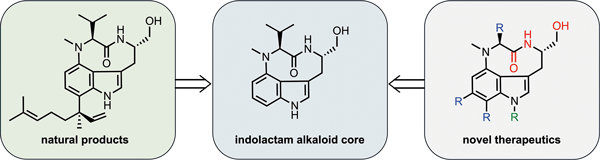 69096982ede57.gif Synlett_Indolactam Alkaloids.gif