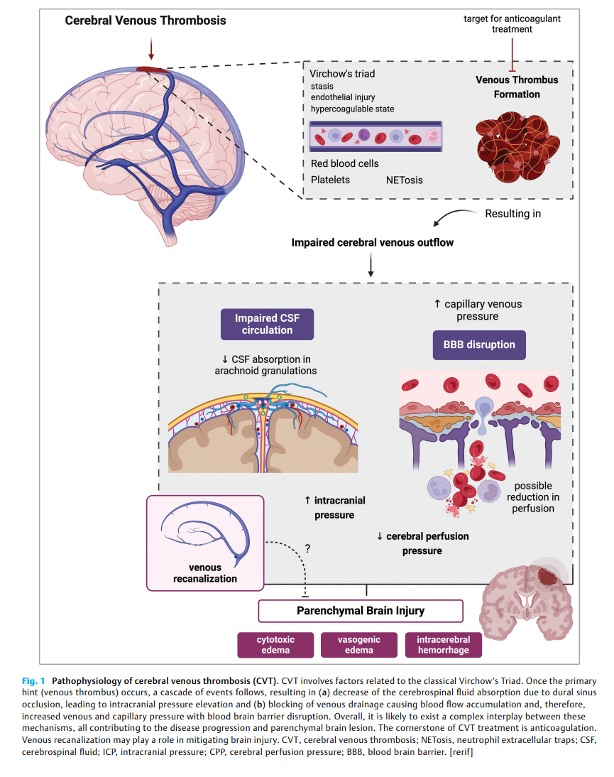 691064a91f70d.png 屏幕截图 2025-11-07 160751.png