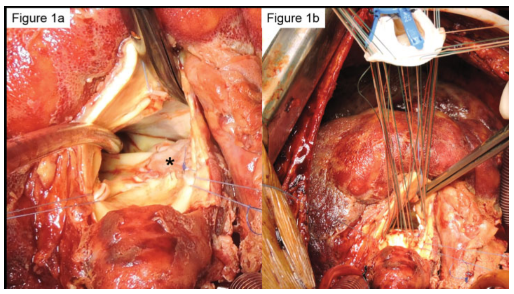 屏幕截图 2026-01-20 093524.png