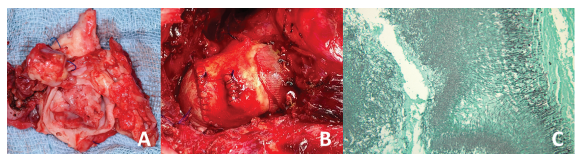 697965b81a7bd.png 屏幕截图 2026-01-27 182440.png