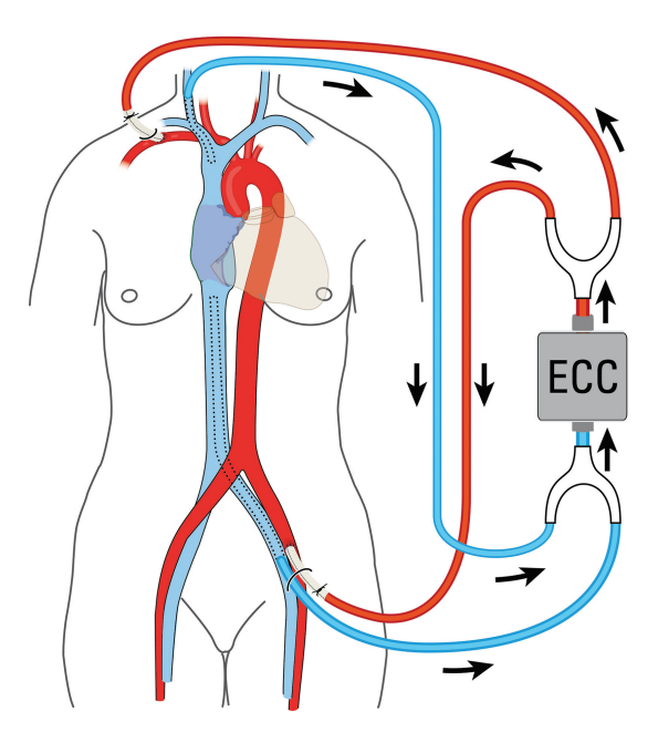 697965beaac3e.png 697965beaac3e.png