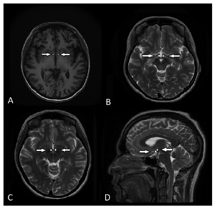 屏幕截图 2026-02-02 105750.png