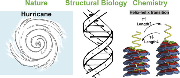 699fb3f832109.jpg Design, Synthesis, and Self-Organization.jpg