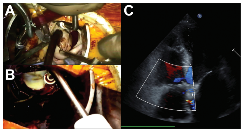 699ffa9542b2a.png 屏幕截图 2026-02-02 110252.png