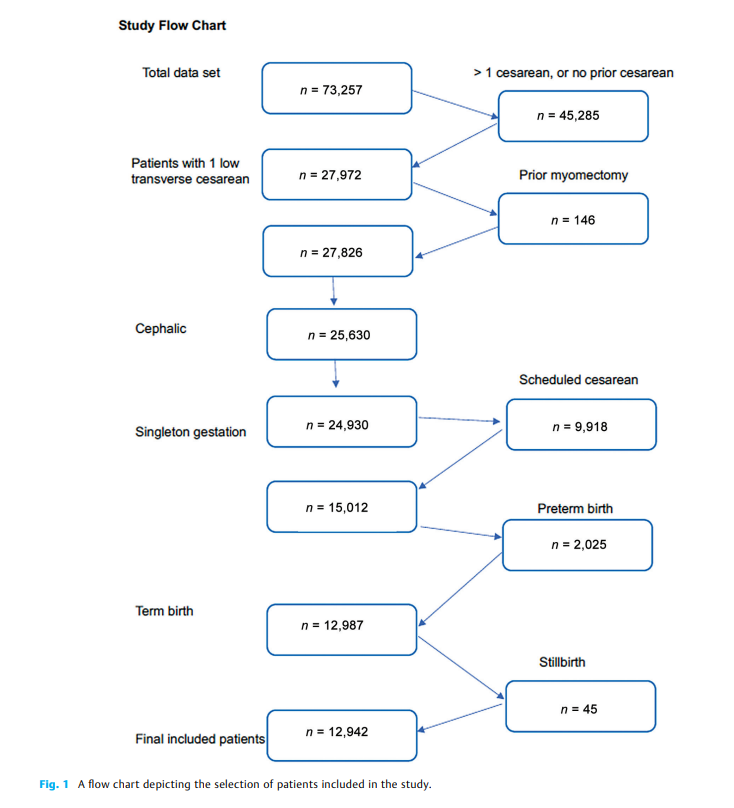 69b7c7207657c.png A Novel and Modern 2.png