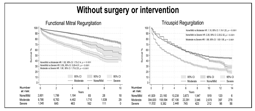 69ba13256a03f.png 屏幕截图 2026-03-17 112624.png