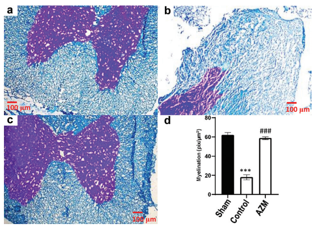 69c10aeea3e2b.png 屏幕截图 2026-03-23 170128.png