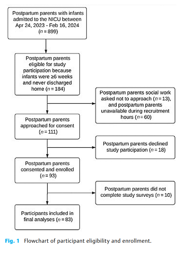 69cb7fb3473b1.png Associations of NICU-Specific Stressors with Postpartum 2.png