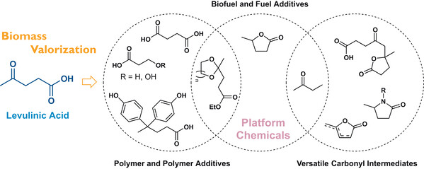 69d48dc085b0a.jpg 10-1055-a-2822-8780_28243390.jpg