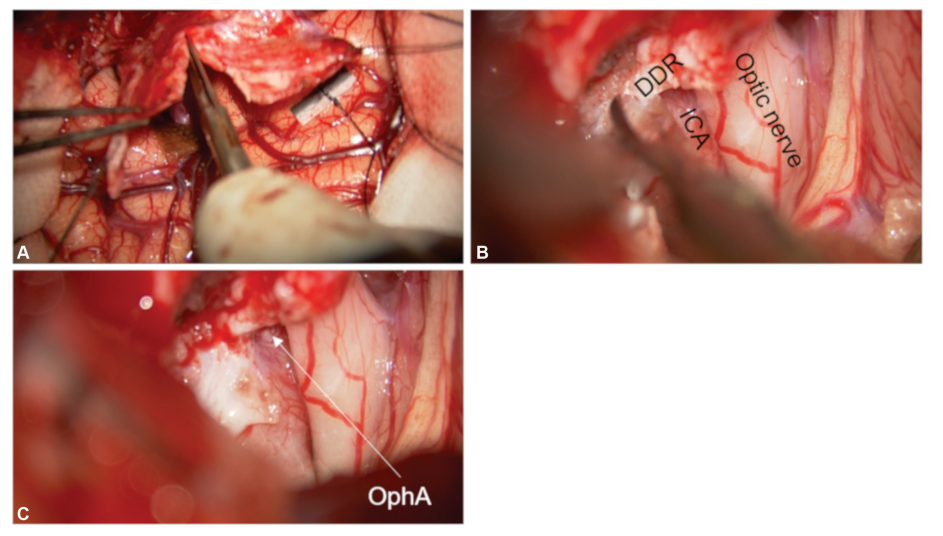 屏幕截图 2026-04-02 103045.png