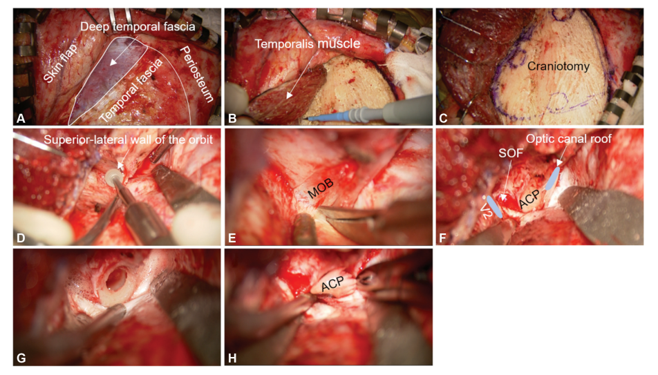 屏幕截图 2026-04-02 103032.png
