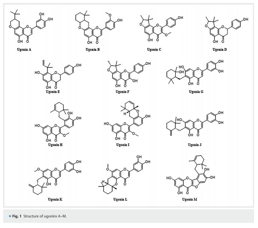Therapeutic Potential 2.png