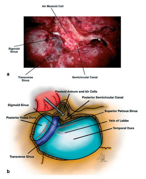 屏幕截图 2026-04-08 172921.png