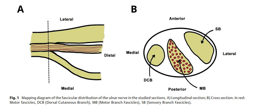 How to Facilitate the Selection 2.png