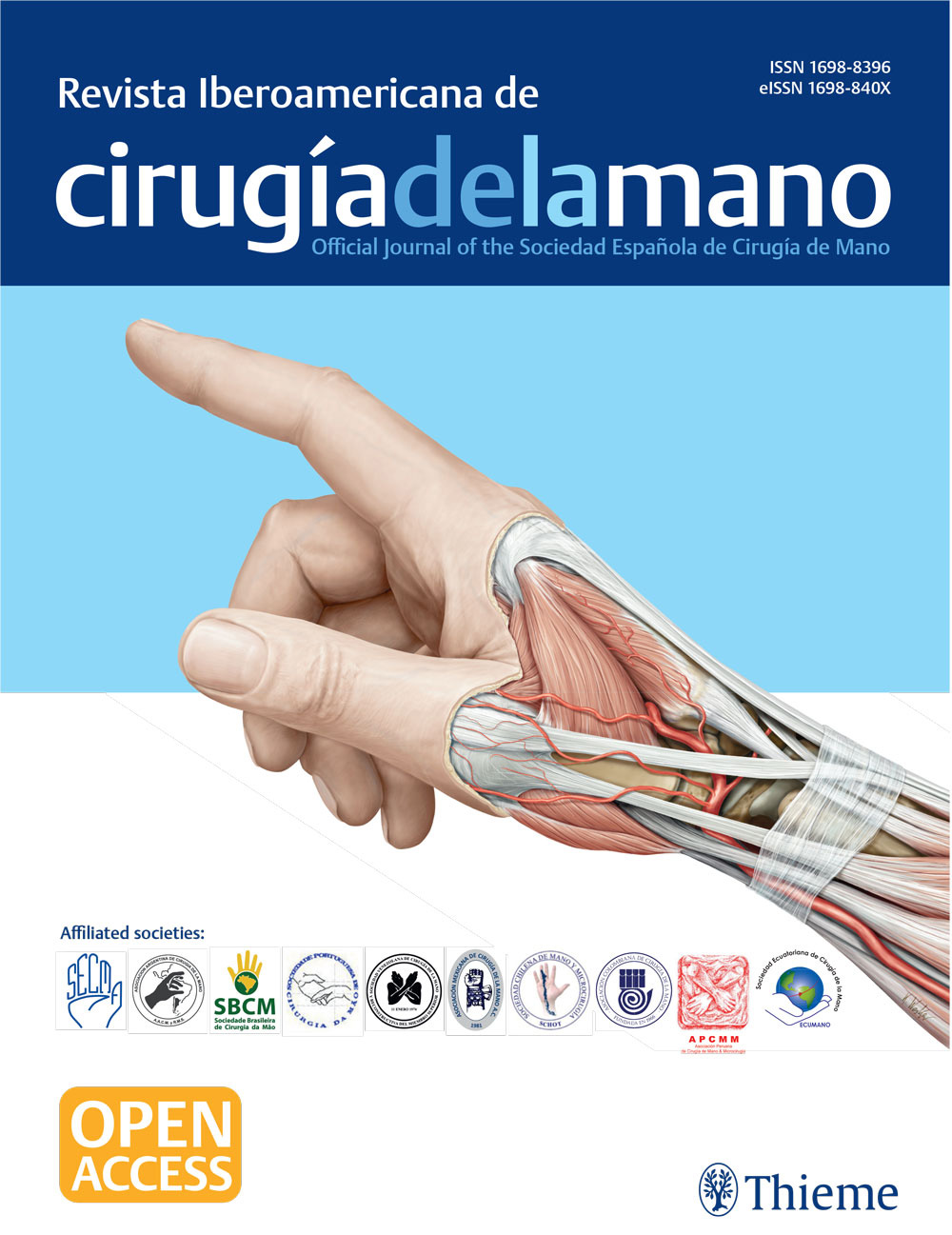 IBERO-AMERICAN JOURNAL OF HAND SURGERY.jpg