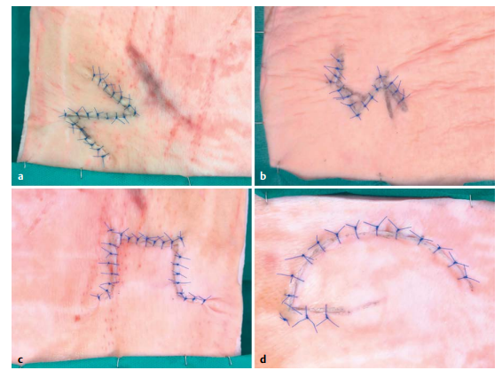 Vergleich von konventionellen 2.png