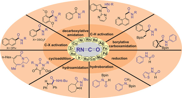 Recent Advances in Transition.jpg