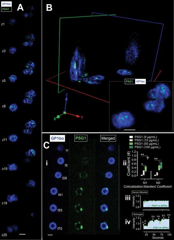 Human Platelets Internalize 2.jpg