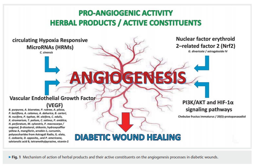 Effect of Herbal Products 2.png