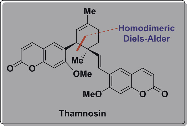 Synlett_Biomimetic Total Synthesis.jpg