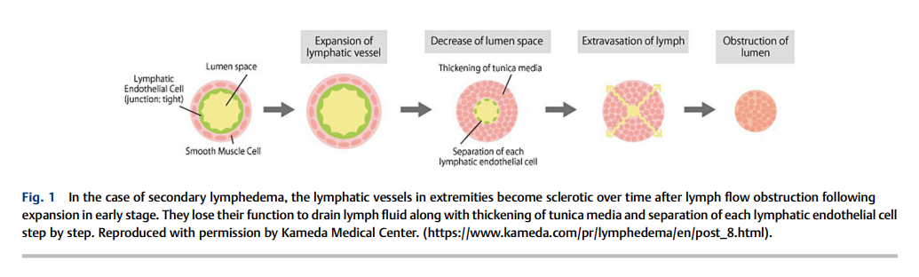 Validity of Ultrasound-Guided 2.png