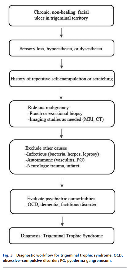 6a59cb00e2520.png Trigeminal Trophic Syndrome 2.png
