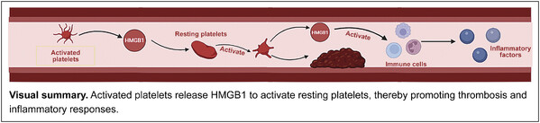 6a5ede36bbe74.jpg HMGB1–Platelet Interactions.jpg