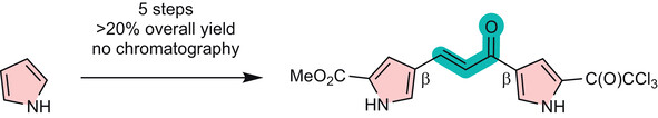 Synlett_Synthesis of β.jpg