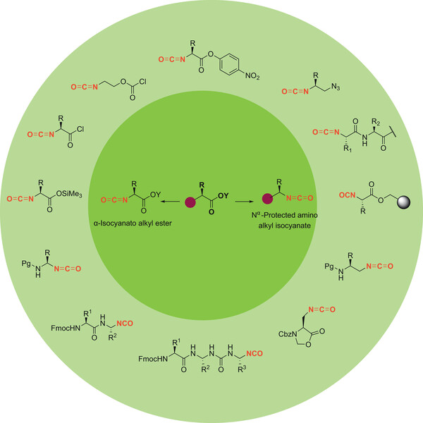 Synthesis_Amino Acid-Derived Isocyanates.jpg
