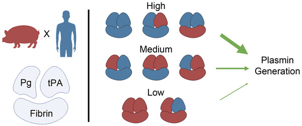 Differences and Compatibility 2.jpg
