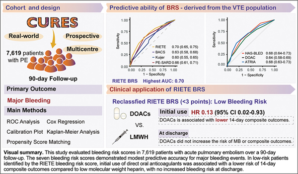 Performance of Bleeding Risk.jpg
