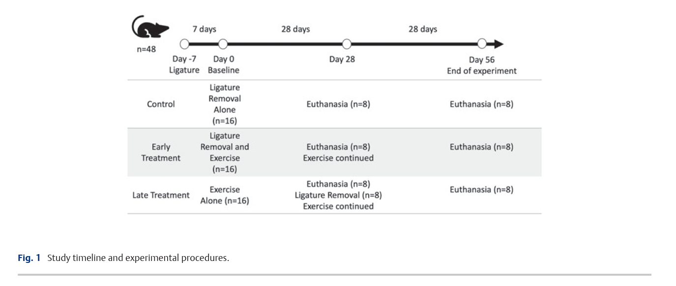 Exercise Improves Periodontal Repair 2.png